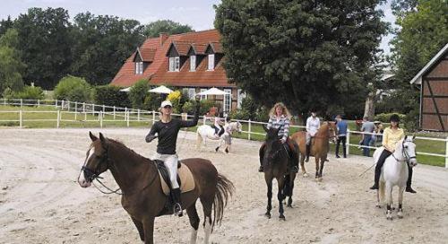 Heidehotel Gut Landliebe Hermannsburg Eksteriør bilde